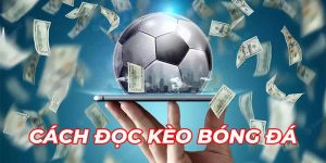meo doc keo chuan anh dai dien